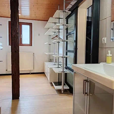 Appartement La Grenouille - Centre - Proche Parking Gratuit - Commerces à Proximité Sélestat