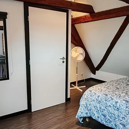 La Grenouille - Centre - Proche Parking Gratuit - Commerces à Proximité * Sélestat