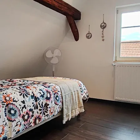 La Grenouille - Centre - Proche Parking Gratuit - Commerces à Proximité