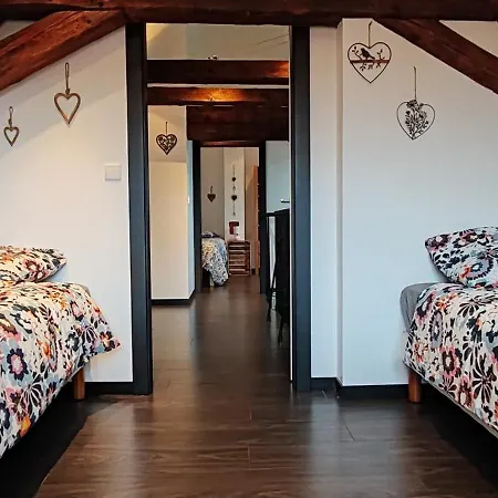 Ia Grenouille Appartement Sélestat