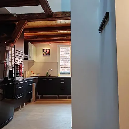 La Grenouille - Centre - Proche Parking Gratuit - Commerces à Proximité * Sélestat