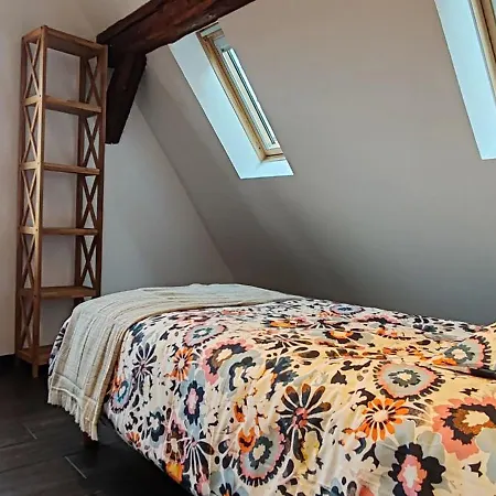 La Grenouille - Centre - Proche Parking Gratuit - Commerces à Proximité