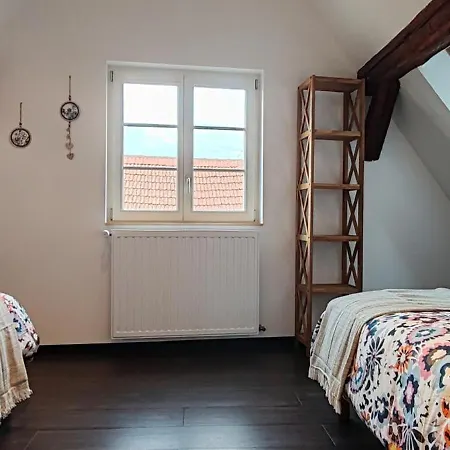 Appartement Ia Grenouille *