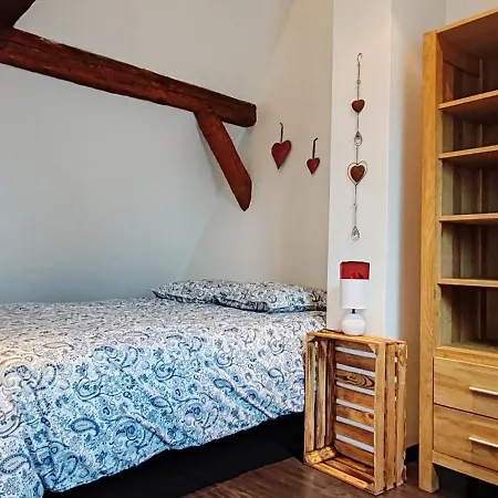 Appartement Ia Grenouille Sélestat