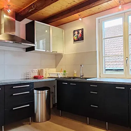 La Grenouille - Centre - Proche Parking Gratuit - Commerces à Proximité Sélestat